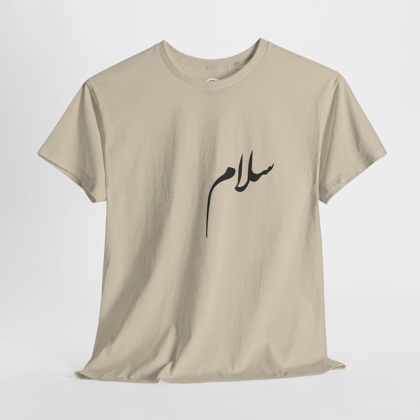 Salaam in a chaotic world (سلام)