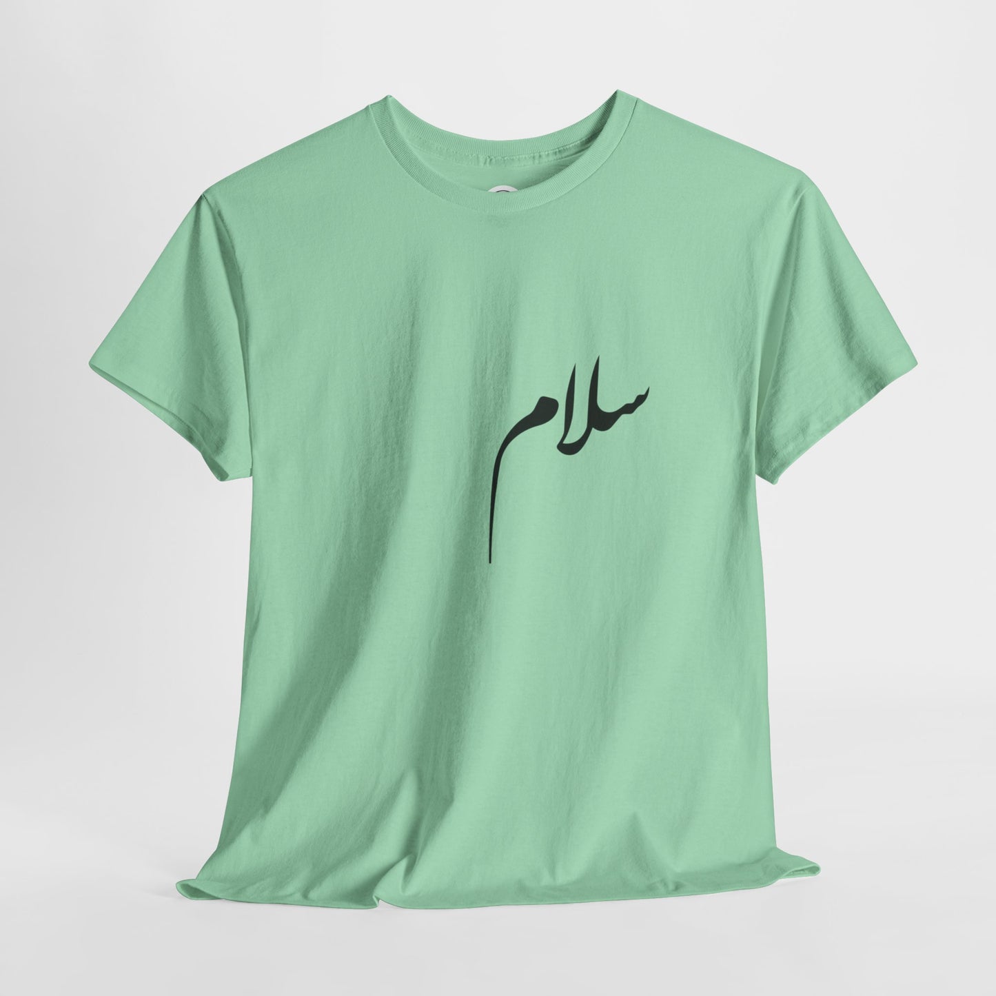 Salaam in a chaotic world (سلام)